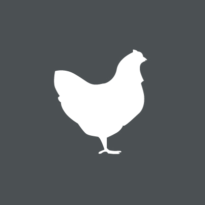 Icon Bio-Huhn