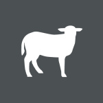 Icon Bio-Lamm