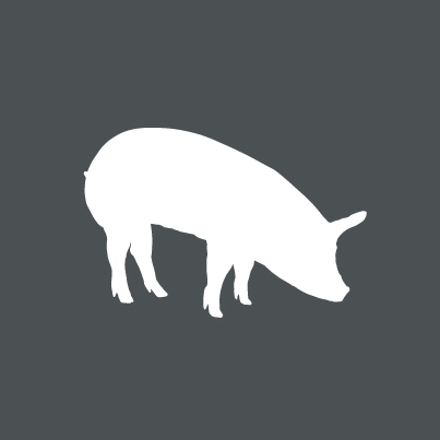 Icon Bio-Schwein