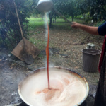 Kanatli Granatapfel-Sirup - Produktion
