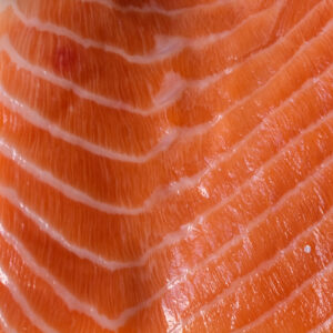 lachsfilet von biofisch