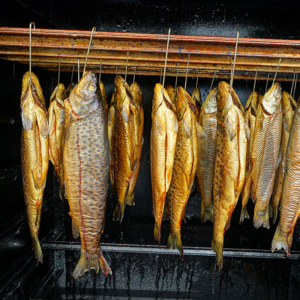 Nachhaltiger Bio-Fischgenuss