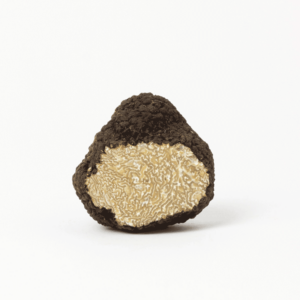 sommertrueffel tuber aestivum von luca miliffi