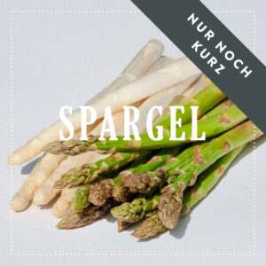 Bio-Spargel aus dem Marchfeld von Brandenstein