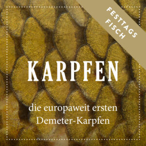 Demeter Karpfen von Biofisch