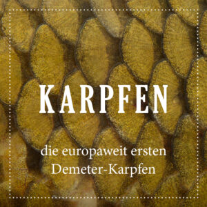 Demeter Karpfen von Biofisch