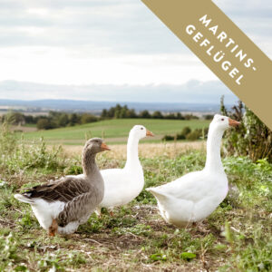 Edelgeflügel: Ente, Gans & Minipute