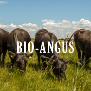 bio-angus