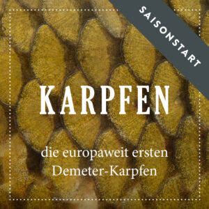 saisonstart-demeter-karpfen_biofisch