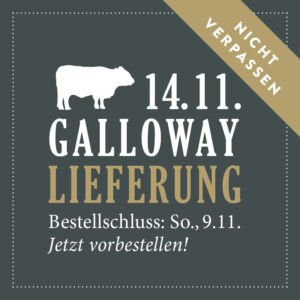 Galloway Liefertermin im November