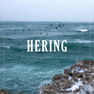 heringsalat-saisonstart-biofisch