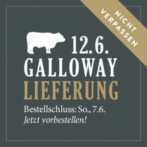 Galloway-Liefertermin Juni